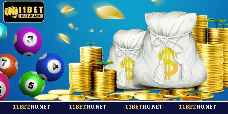 Kinh nghiệm bắt lô cầu quả trám hiệu quả từ cao thủ