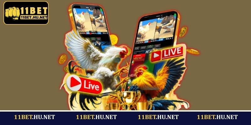 Lợi thế khi tham gia cá cược đá gà tại 11BET