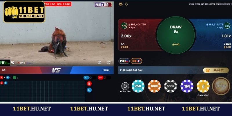 Những hình thức đá gà phổ biến tại 11BET