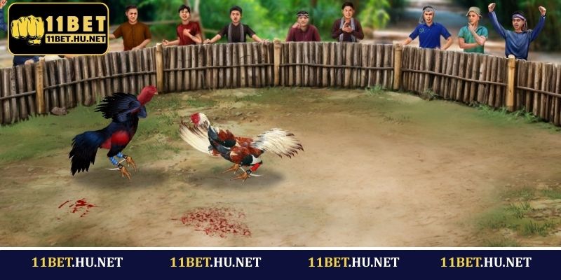 Phân tích trước khi xuống tiền cược
